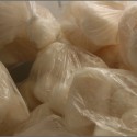 Scallops