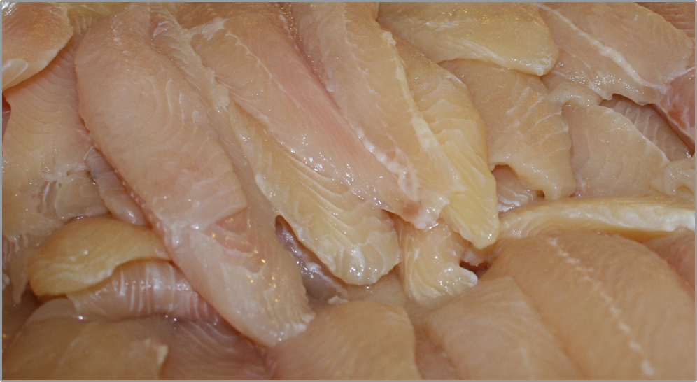 Mekong+delta+catfish