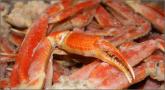 Crab Legs